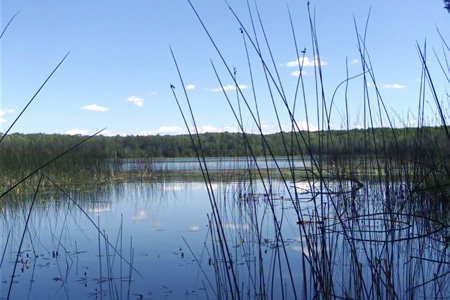 Anne photo003jpg-195084532