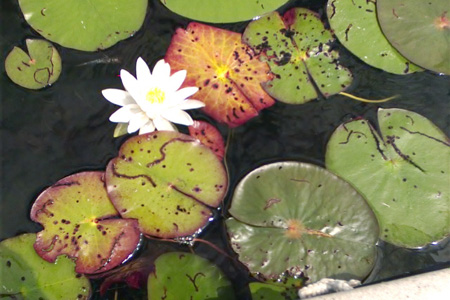 Anne photo016jpg-195084960