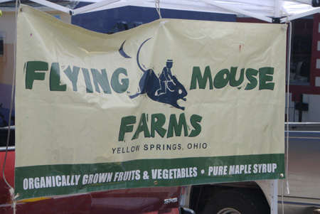 Flying mouse