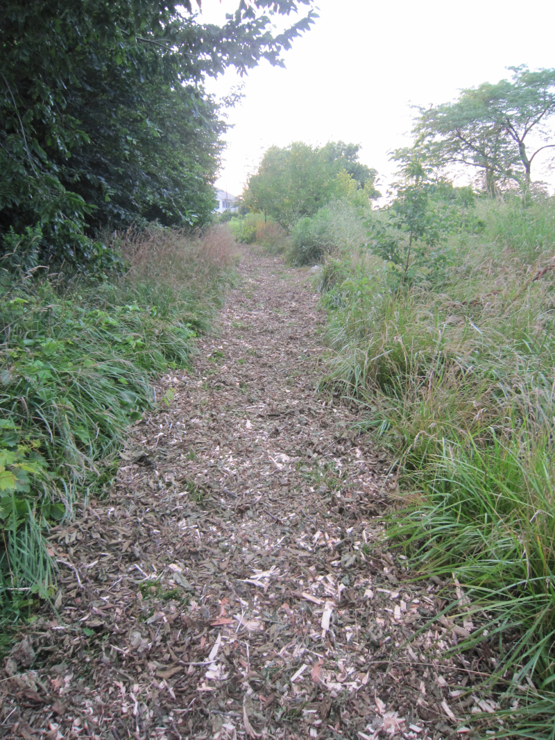 Green Week PIB (4 of 5) Green Week PIB (4 of 5)
