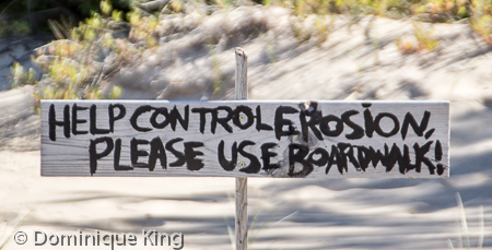 UP Light houses (7 of 12) UP Light houses (7 of 12)