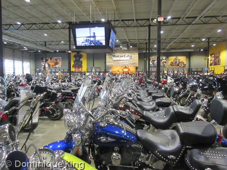 Blog 1093 (1 of 9) Blog 1093 (1 of 9)