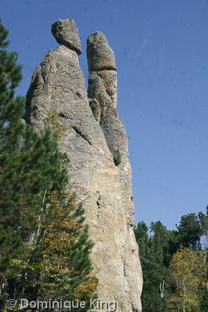 Needles SD Needles SD