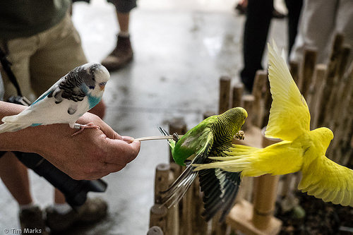 20150618-Indy Trip-3745.jpg