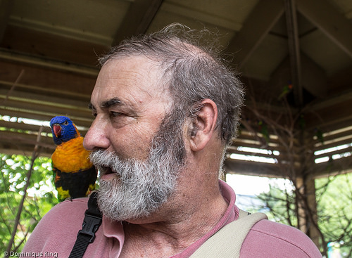 Aviary, Indianapolis Zoo