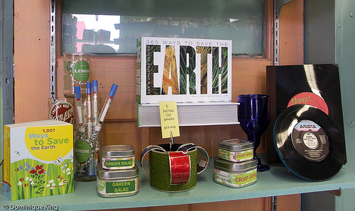 Catching Fireflies-1