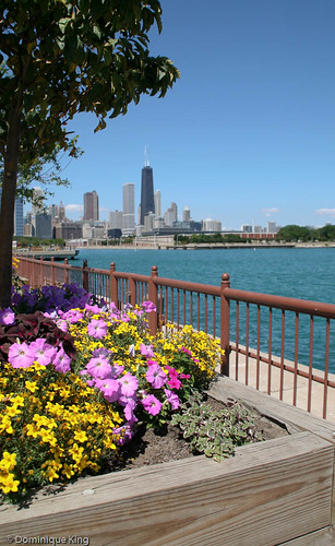 Navy Pier 5