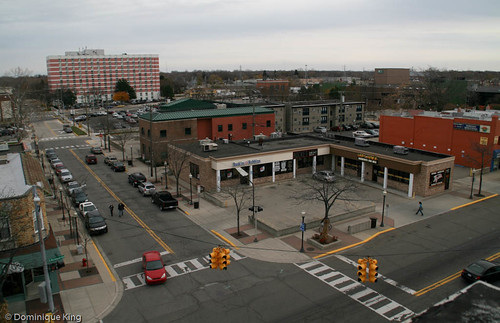 Royal Oak Photo Walk 9