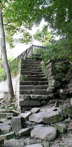 Chagrin Falls summer 10