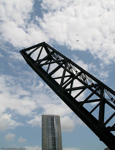 Chicago Architectural Cruise 14