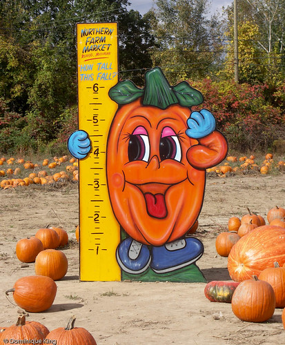 Northern Farm Market 5