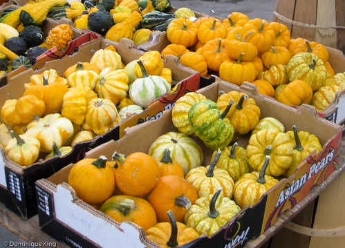 Thanksgiving bounty 2