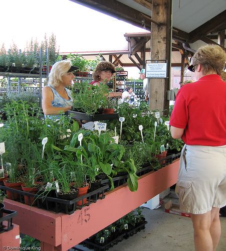 Toledo Farmers Market-2