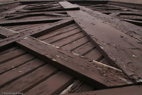 Royal Oak Photo Walk 11