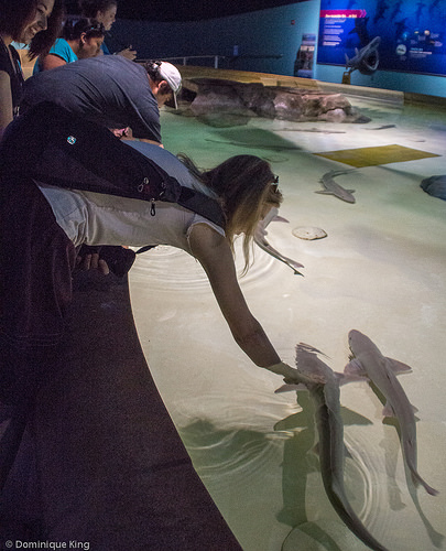 Indianapolis Zoo, Indianapolis, Indiana