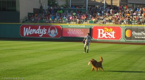 20140626-Fprt Wayne-South Bend 2014-0119.jpg