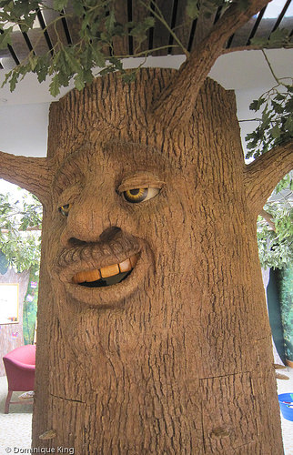 Foellinger-Freimann Botanical Conservatory, Fort Wayne, Indiana