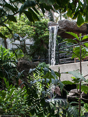 Foellinger-Freimann Botanical Conservatory, Fort Wayne, Indiana