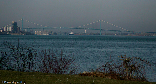 Detroit waterfront-10