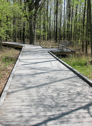 Ottawa National Wildlife Refuge, Ohio-4