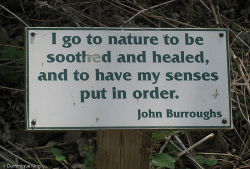 Magee Marsh, Ohio wildlife refuge-3