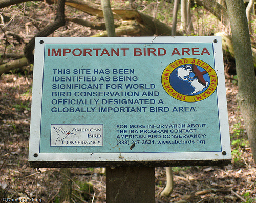 Magee Marsh, Ohio wildlife refuge-2