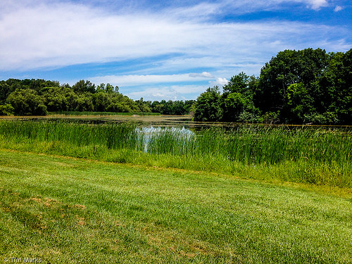 20150726-Stony Ride iPhone-4864.jpg