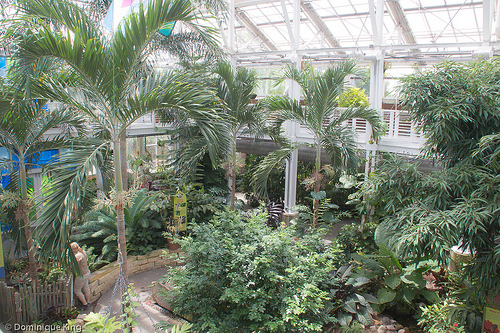 White River Gardens, Indianapolis, Indiana