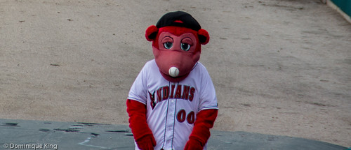 Indianapolis Indians baseball, Triple A baseball, Indianapolis, Indiana