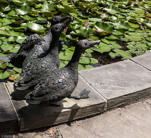 White River Gardens, Indianapolis, Indiana