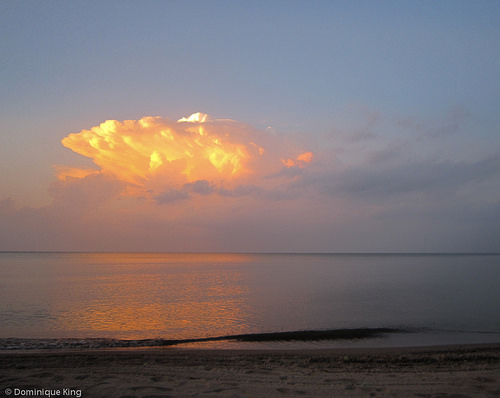 Sawmill Creek and Sheldon Nature Center, Sandusky, Ohio