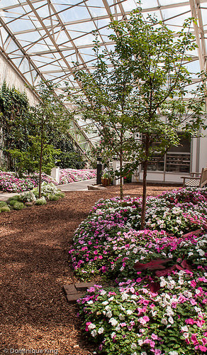 Foellinger-Freimann Botanical Conservatory, Fort Wayne, Indiana