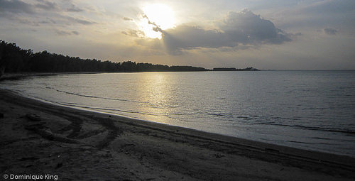 Sheldon Marsh Nature Preserve, Sandusky, Ohio