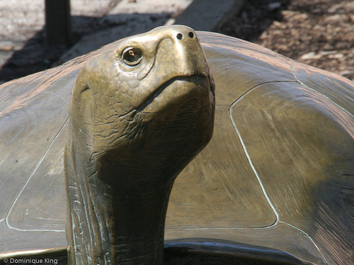 20140408-Toledo_Zoo-0089.jpg