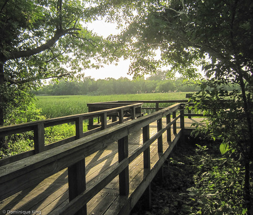 20140617-Lake Erie Shores and Islands-0035.jpg