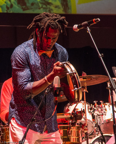 Plena Libre, 2015 Concert of Colors, Detroit