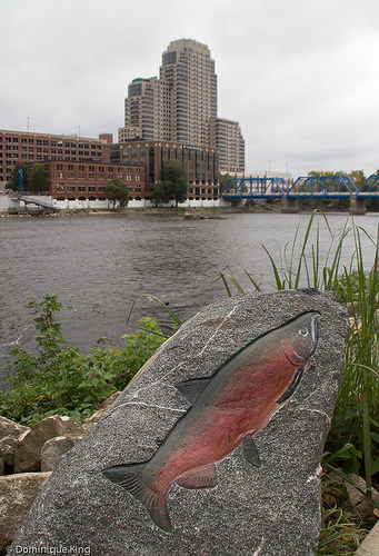 ArtPrize 2014, Grand Rapids, Michigan