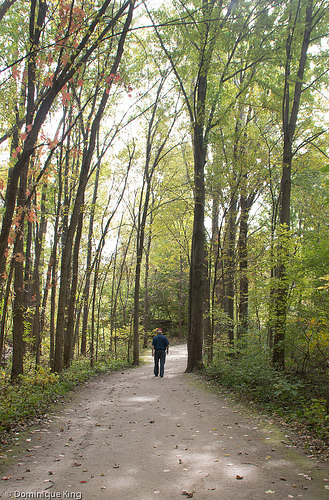 National Center for Nature Photography at Secor Metropark in Toledo, Ohio