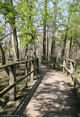Magee Marsh, Ohio wildlife refuge-1