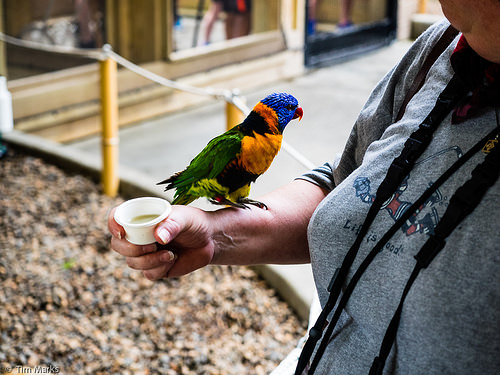 20150618-Indy Trip-3779.jpg