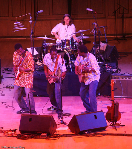 Detroit 2009 Concert of Colors-4