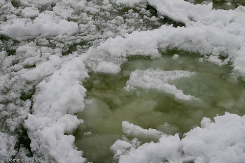 Manistee Michigan-10