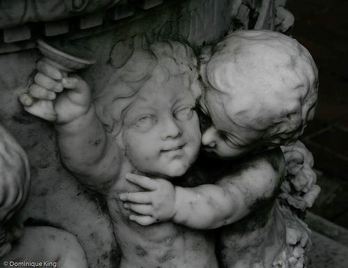 Cranbrook Gardens-24