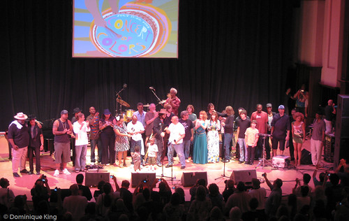 Detroit 2008 Concert of Colors-1