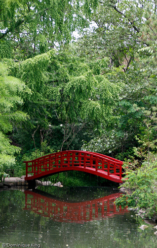 Cranbrook Gardens-11