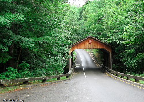 Pierce Stocking Scenic Drive-1