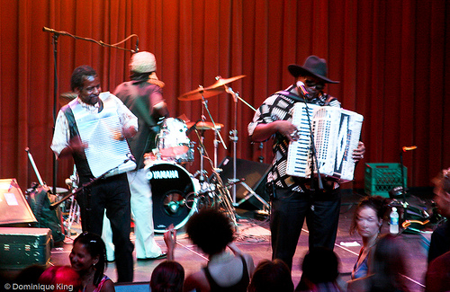 Detroit 2009 Concert of Colors -5