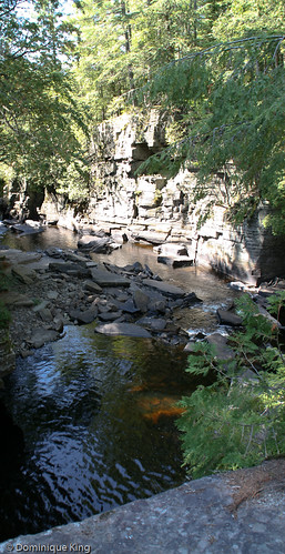 Canyon Falls and Gorge-5