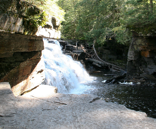 Canyon Falls and Gorge-4