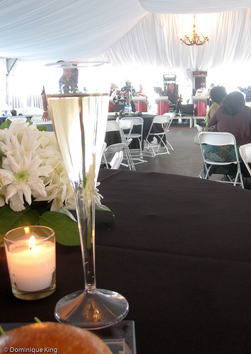 Forgotten Harvest Champagne Cruise-1